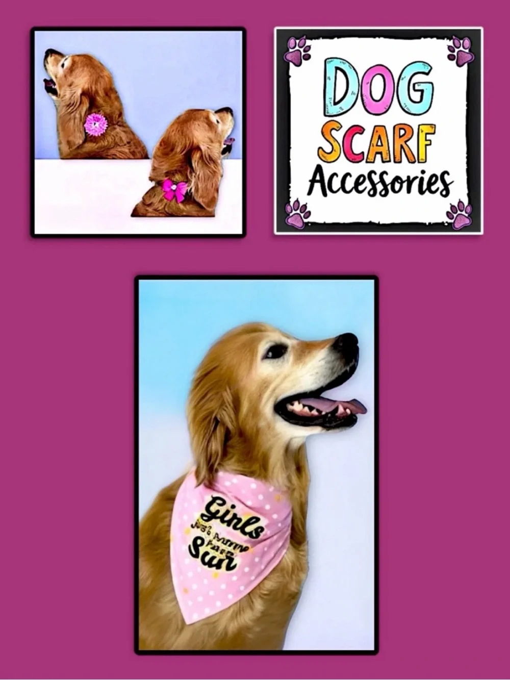 Vibrant Life Dog Girls Just Wanna Have Sun Bandana Set